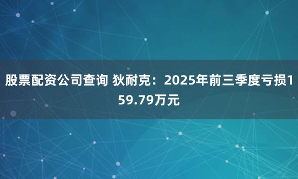 股票配资公司查询 狄耐克：2025年前三季度亏损159.79万元