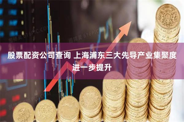 股票配资公司查询 上海浦东三大先导产业集聚度进一步提升