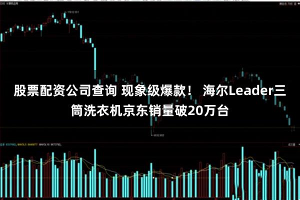 股票配资公司查询 现象级爆款！ 海尔Leader三筒洗衣机京东销量破20万台