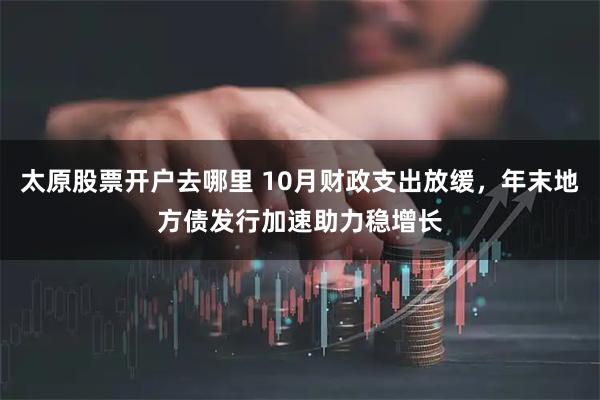 太原股票开户去哪里 10月财政支出放缓，年末地方债发行加速助力稳增长