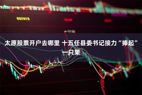 太原股票开户去哪里 十五任县委书记接力“捧起”一只果