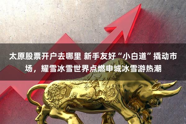 太原股票开户去哪里 新手友好“小白道”撬动市场，耀雪冰雪世界点燃申城冰雪游热潮