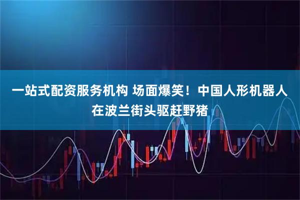 一站式配资服务机构 场面爆笑！中国人形机器人在波兰街头驱赶野猪