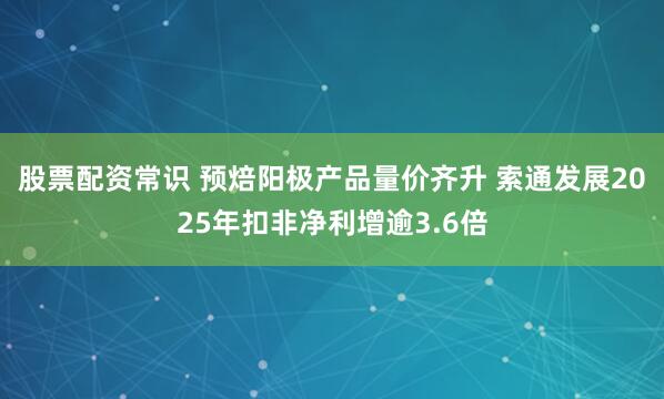 股票配资常识 预焙阳极产品量价齐升 索通发展2025年扣非净利增逾3.6倍